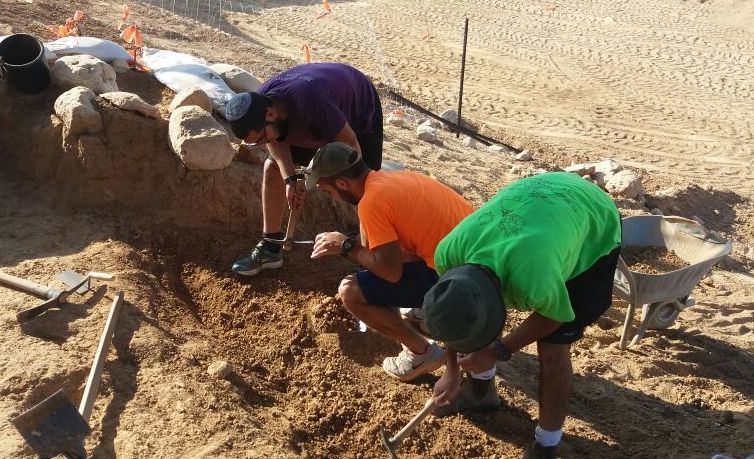 למעלה מ100 בני נוער לקחו חלק בחפירות. צילום: אילנית אזולאי, רשות העתיקות