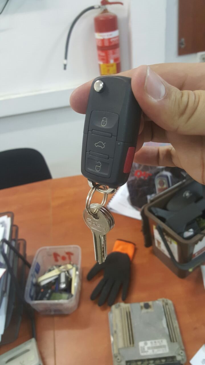 קרדיט דוברות המשטרה