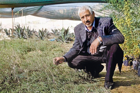 ליד חורה: ואדי עתיר – חווה חקלאית בדואית | אג'יק