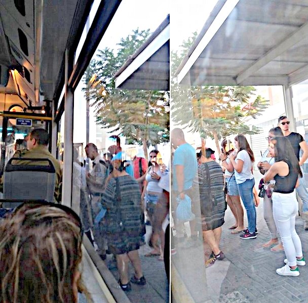 נאלצים להידחף כדי לעלות לאוטובוס (צילום: ג'ולי אושר כהן)