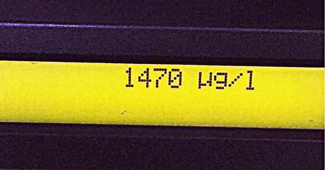 קרדיט דוברות המשטרה