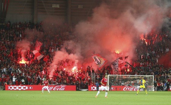 צילום: עמי שומן אבוקות במשחק