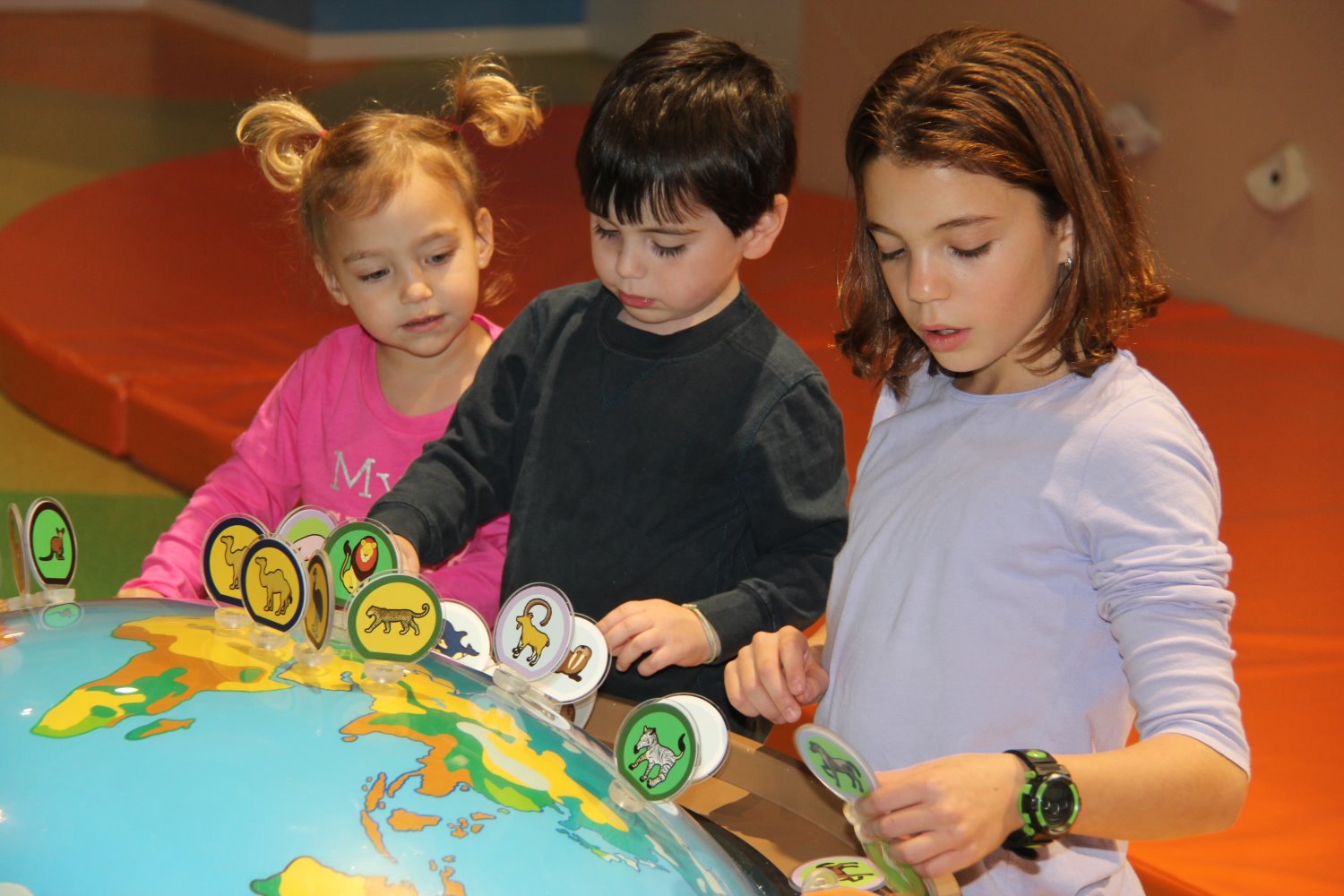 צילום גיל נמט 