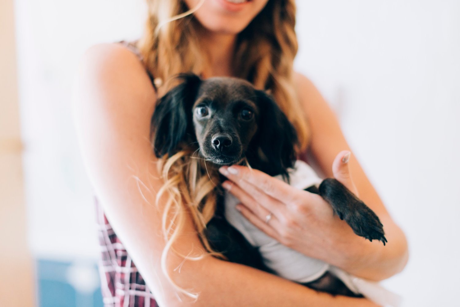 הכלבה צ'ילה - הורעלה לפני שנה פעמיים באותו רחוב ובמזל שרדה הכלבה צ'ילה - הורעלה לפני שנה פעמיים באותו רחוב ובמזל שרדה