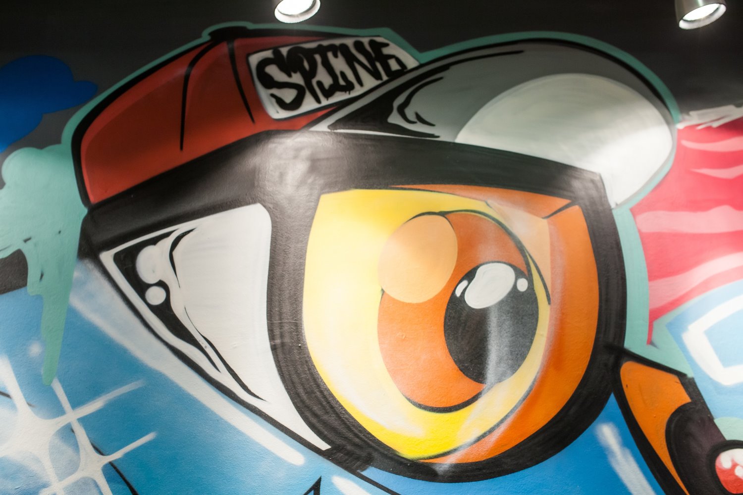 צילום: מעיין קאופמן 