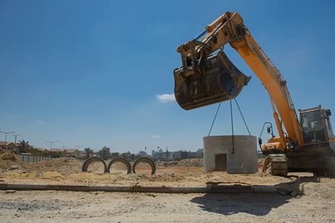 צילום: דני מכליס