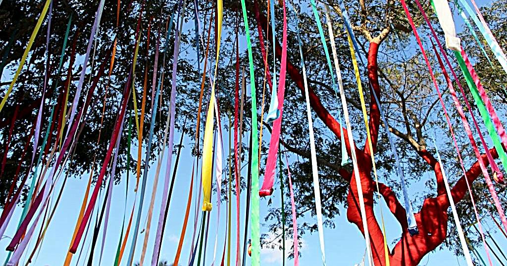 צבעוניות במסגרת פרויקט עיטוף עצים במתחם הקטר. צילום: ציפי זוהר המרכז לאמנויות