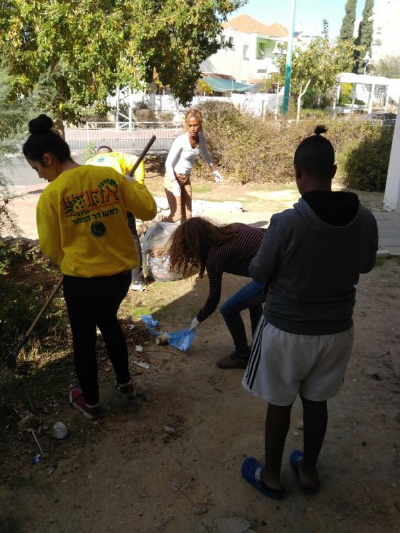 חידוש גינות הבניינים