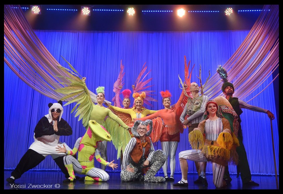 רק רוצה לרקוד. צילום: יוסי צבקר