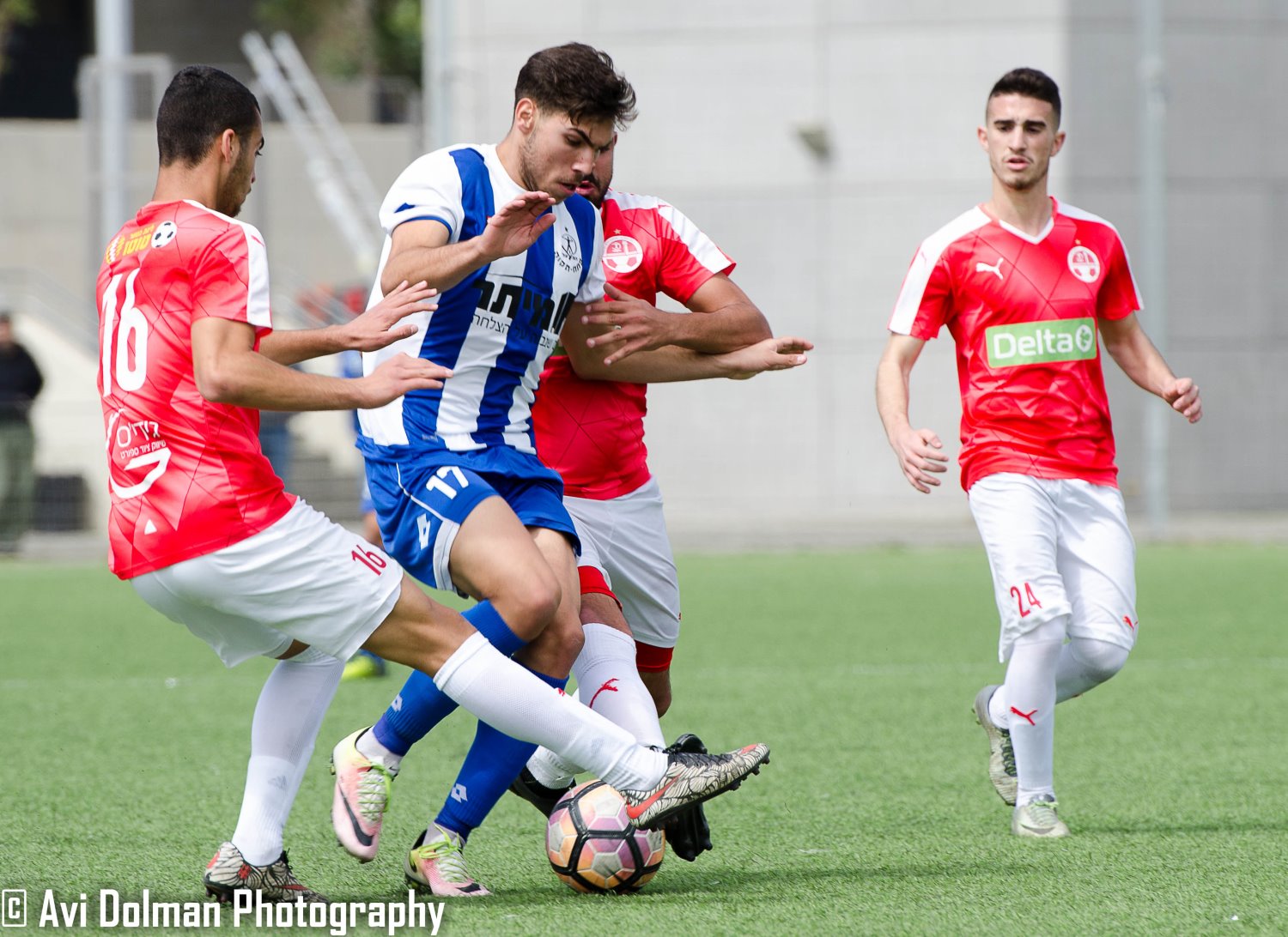 צילום: אבי דולמן