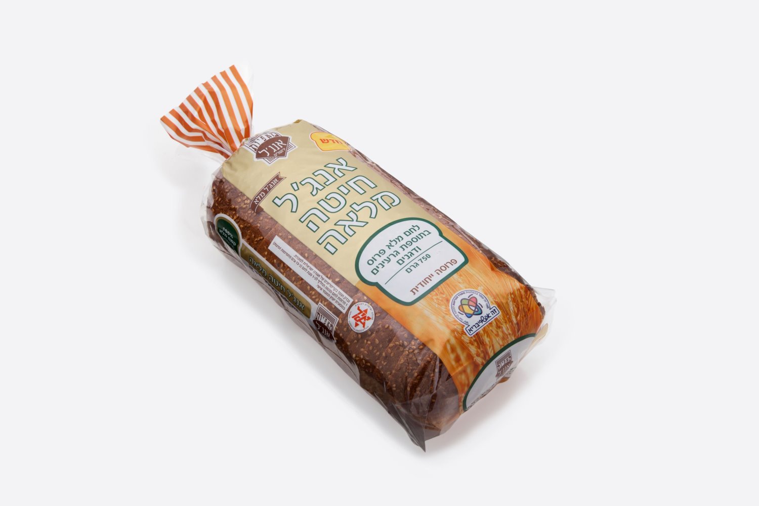 צילום: דן לב צילום: דן לב