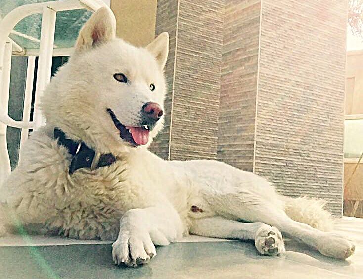 ריי היית הכל בשבילי. צילום עדי צבי