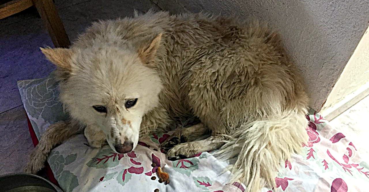 תלמה ביום השחרור - אפאטית ולא מגיבה.