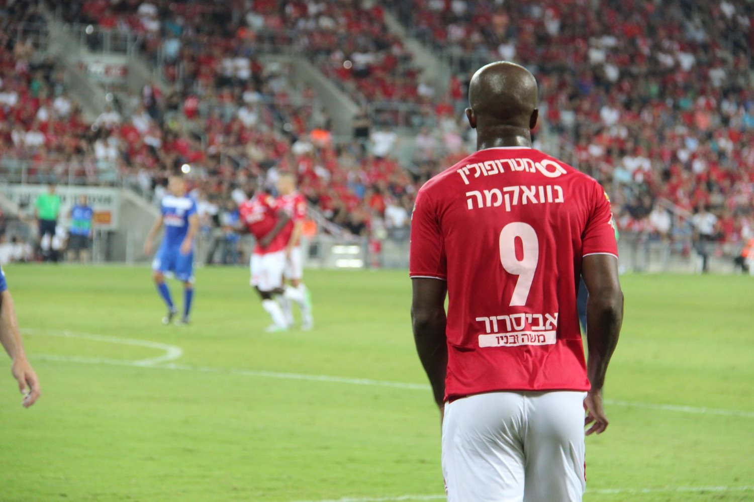 זו תהיה שנת הוואקמה. צילום ארכיון