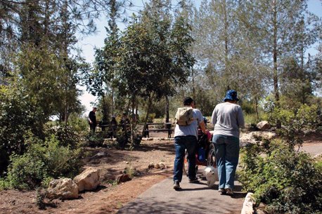 מתוך אתר קק"ל