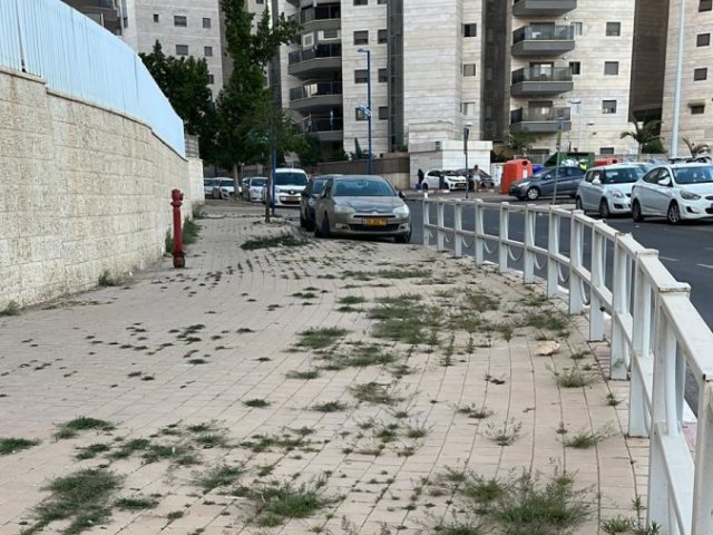 מדרכה מוזנחת ליד פארק קרסו למדע