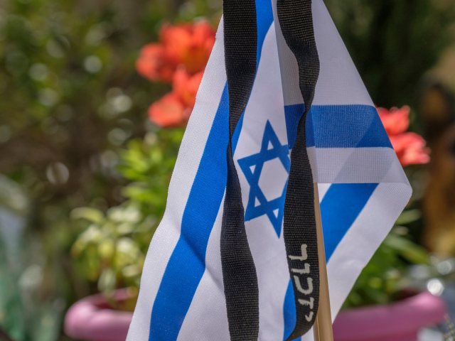 צילום: shutterstock
