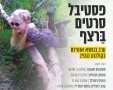 סרטים ברצף