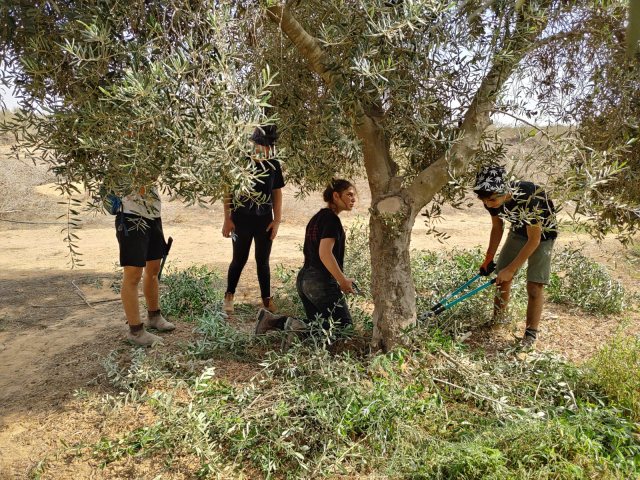 התנדבות חקלאות קו זינוק צילום יח"צ שותפויות רוטשילד 