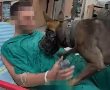 מרגש עד דמעות: לוחם ''עוקץ'' שנפצע קשה - התאחד עם כלבו בסורוקה (וידאו)