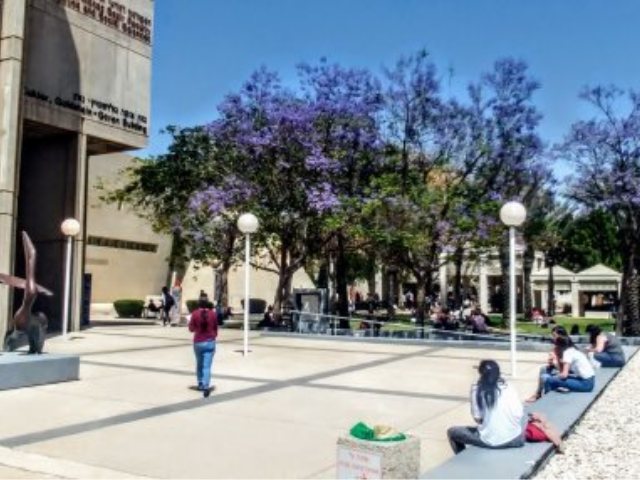 אוניברסיטת בן גוריון בנגב. צילום ארכיון באר שבע נט