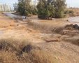 קרדיט: תוכן גולשים ע"פ סעיף 27א'