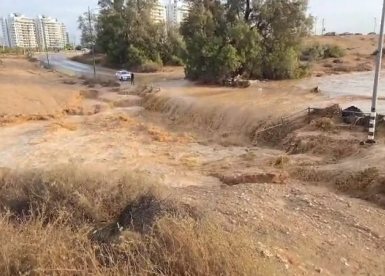 קרדיט: תוכן גולשים ע"פ סעיף 27א'