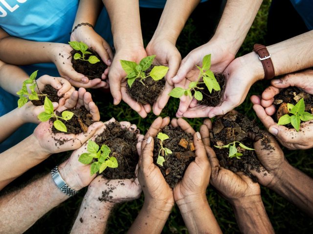 אילוסטרציה. צילום: shutterstock