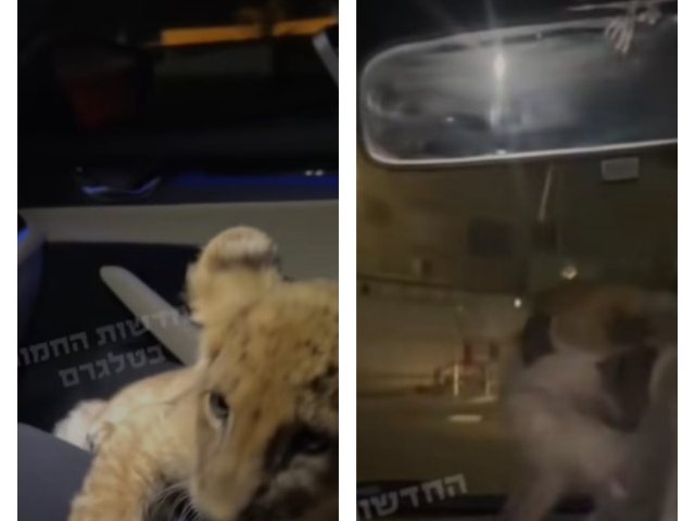 תוכן גולשים, שימוש לפי סעיף 27 א' בחוק זכויות היוצרים