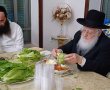 עם חסה ודבש: 'מימונה' בצילו של רב העיר