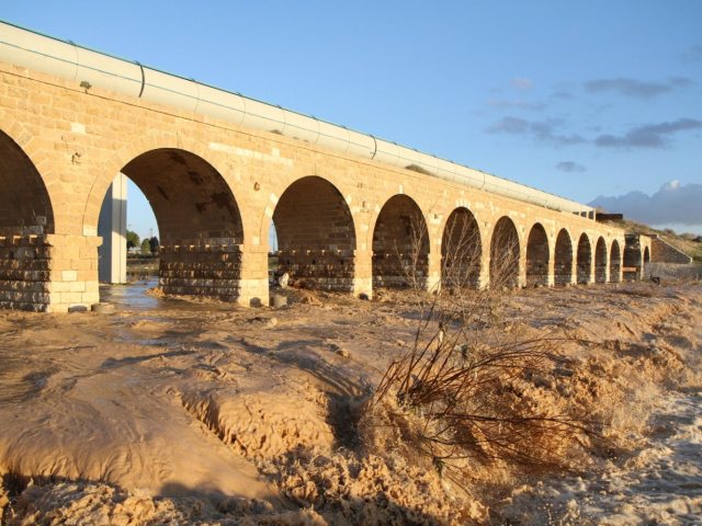 צילום: זאב דיקמן 
