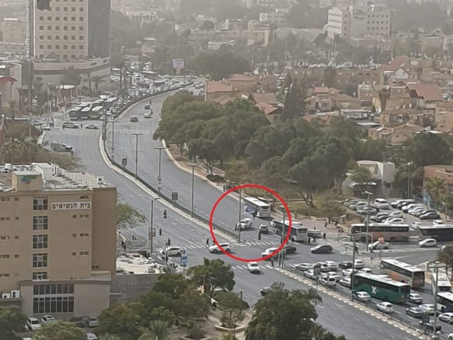 צילום: מירן שפילברג 