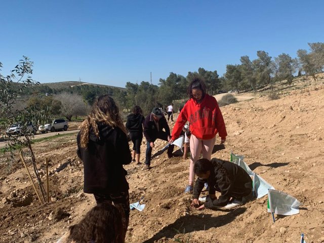 קרדיט צילום קק"ל 