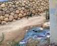 הביוב זורם. צילום: פרטי