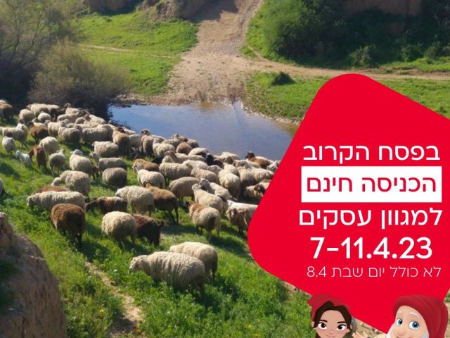 בנק הפועלים