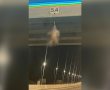 מחריד: צבוע מפוספס נתלה על גשר בכביש 40 בסמוך לבאר שבע