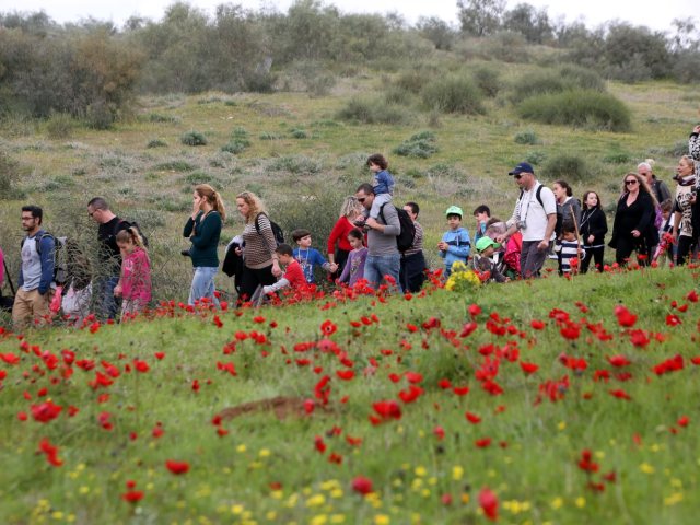 צילום יוסי זמיר קק"ל