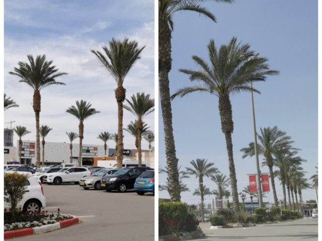 צילום באר שבע נט 