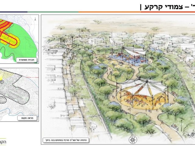 באדיבות עיריית דימונה