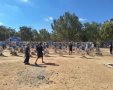 קרדיט: אדמה