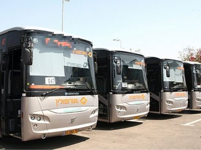 מטרופולין (צילום: צביקה טישלר)