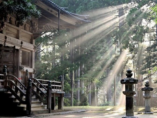 קרדיט-Image by yamabon from Pixabay