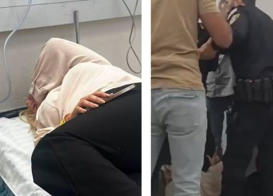 קרדיט: תוכן גולשים ע"פ סעיף 27א'