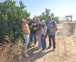 צו 8 בחקלאות: גם עובדי עיריית באר שבע יצאו להירתם למאמץ הלאומי
