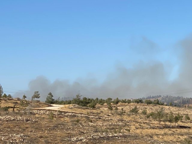צילום: דלב מכלוף
