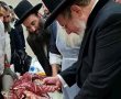 מנקרים עם הסמכה: הזווית האשדודית הייחודית