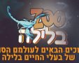 נגב zoo 