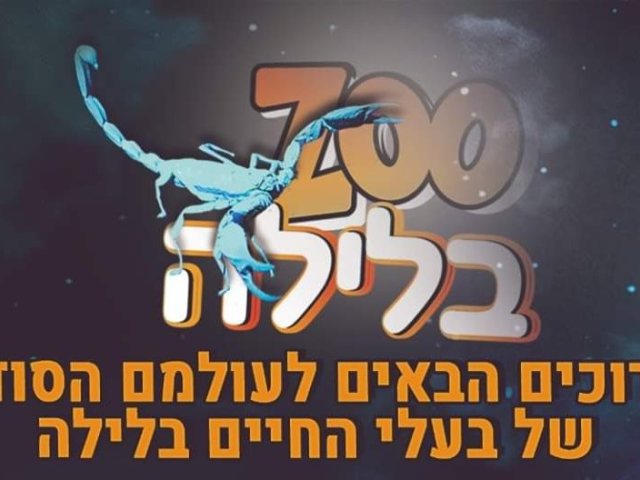 נגב zoo 