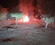 בזכות עירנות: סיירת בראל סיכלה ניסיון הצתה בבאר שבע