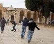 הפרות סדר בהר הבית: נעצר צעיר ערבי 